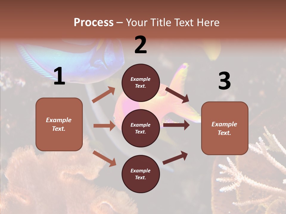 Close Seaweeds Fishes PowerPoint Template