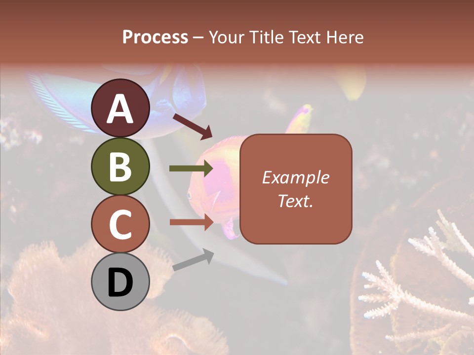 Close Seaweeds Fishes PowerPoint Template