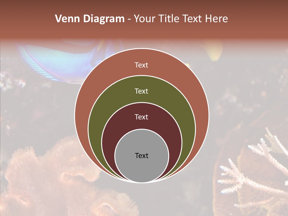 Close Seaweeds Fishes PowerPoint Template