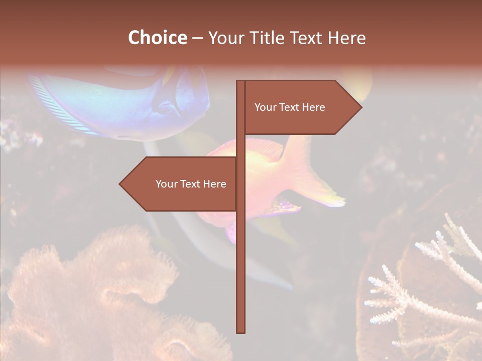 Close Seaweeds Fishes PowerPoint Template