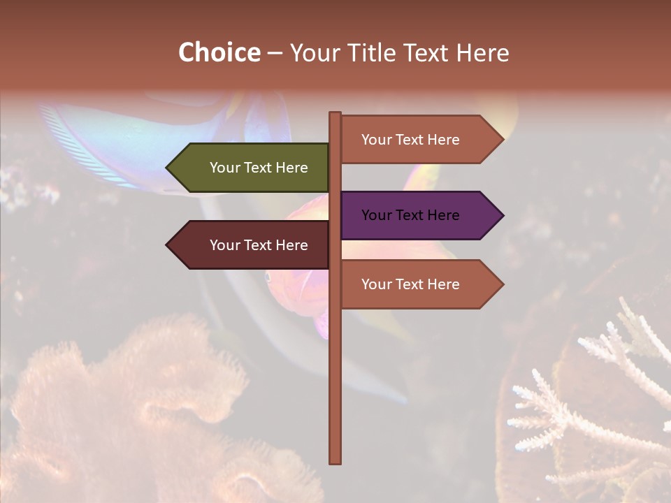 Close Seaweeds Fishes PowerPoint Template