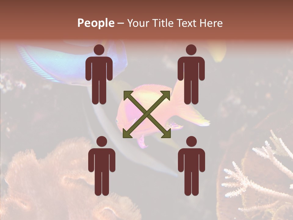 Close Seaweeds Fishes PowerPoint Template