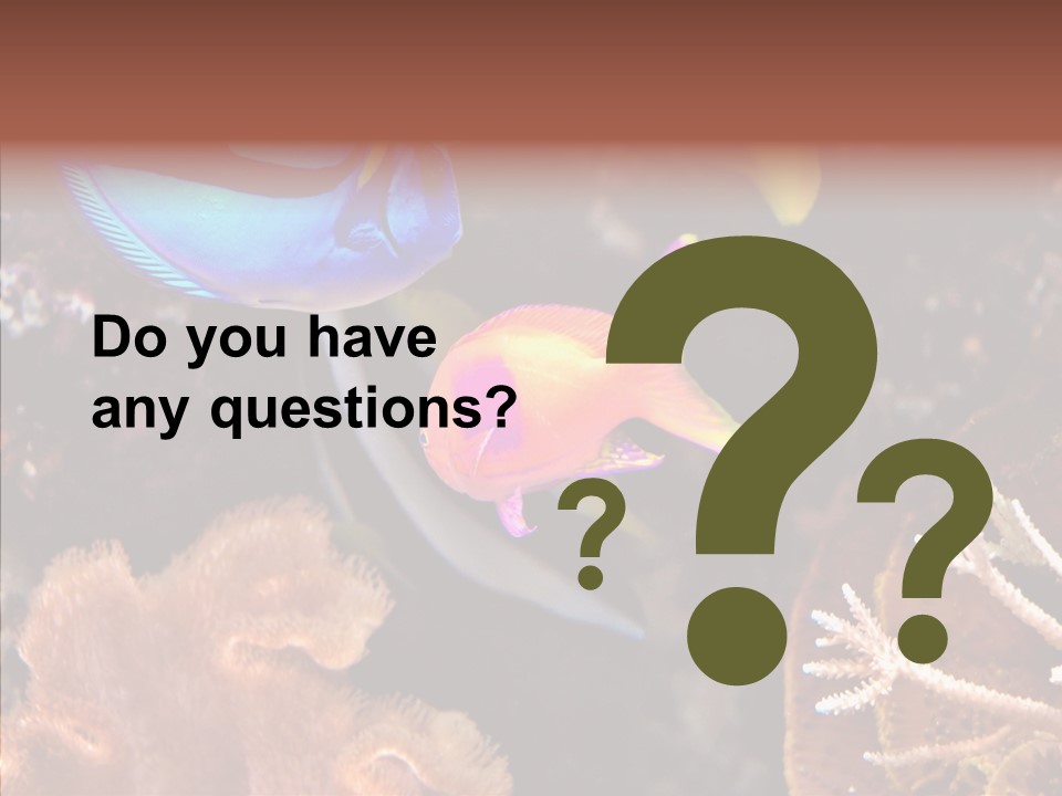 Close Seaweeds Fishes PowerPoint Template