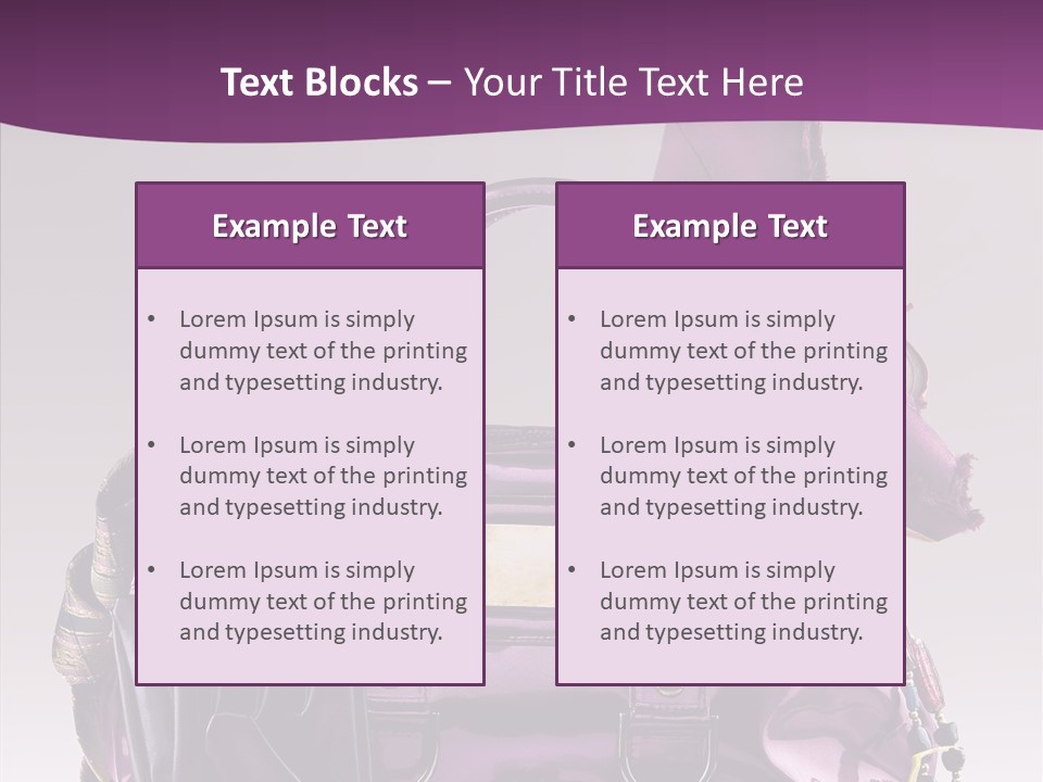 Accessory Elegant Single PowerPoint Template