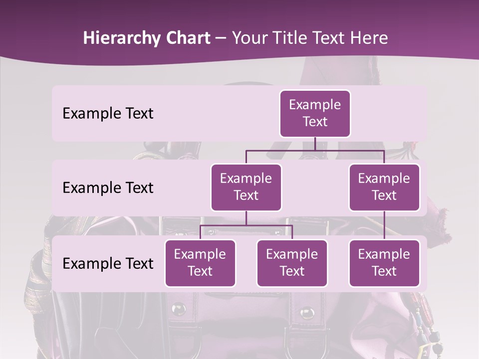Accessory Elegant Single PowerPoint Template