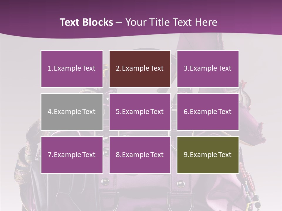 Accessory Elegant Single PowerPoint Template