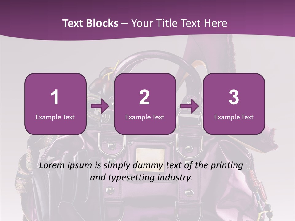 Accessory Elegant Single PowerPoint Template