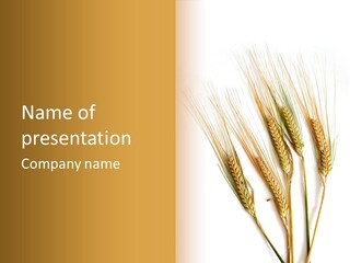 Food Stems White PowerPoint Template