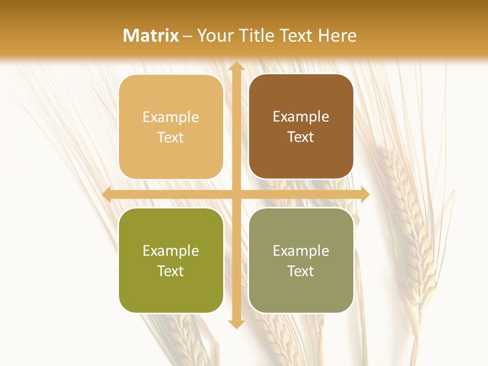 Food Stems White PowerPoint Template