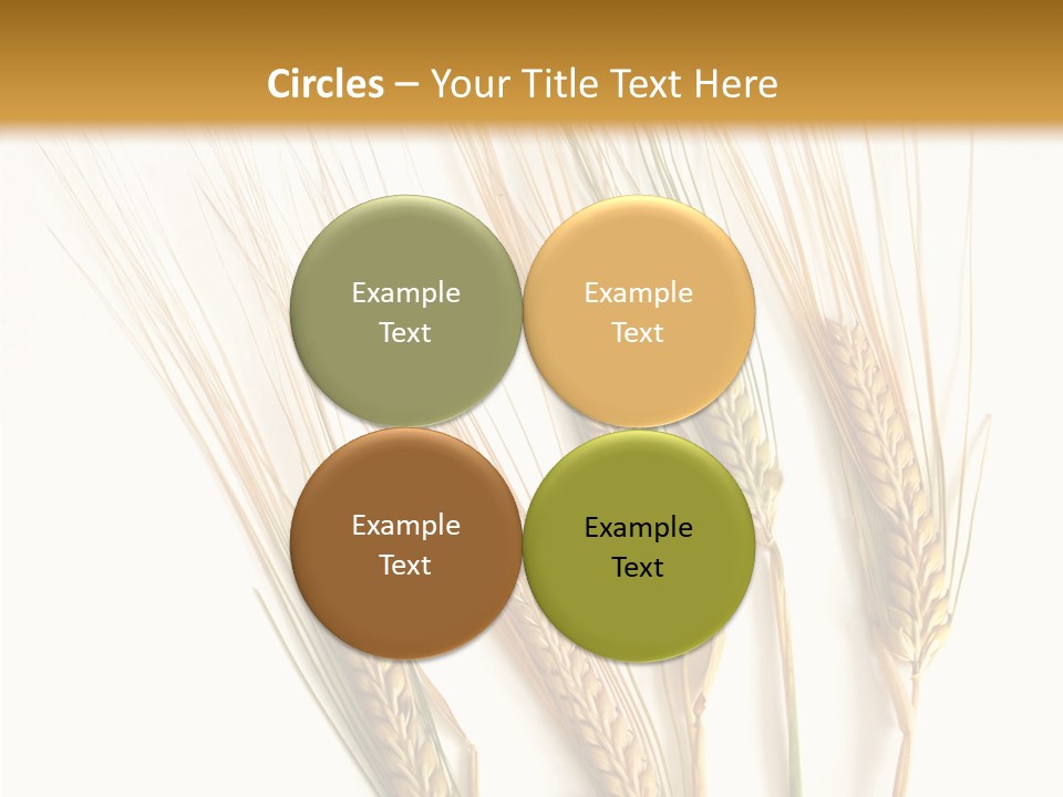 Food Stems White PowerPoint Template