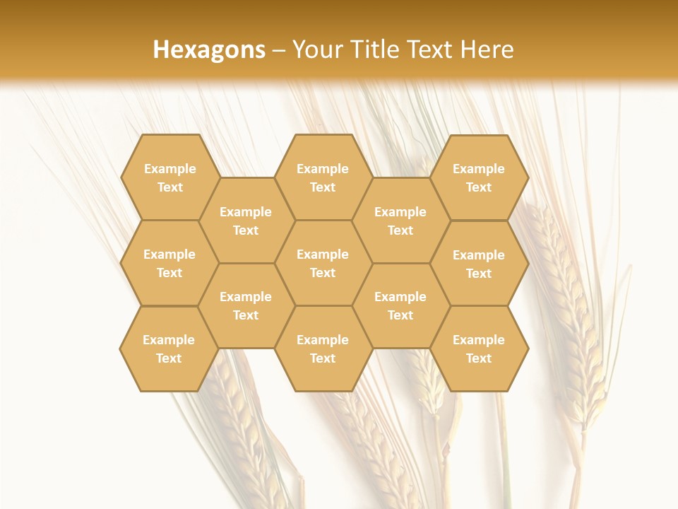 Food Stems White PowerPoint Template