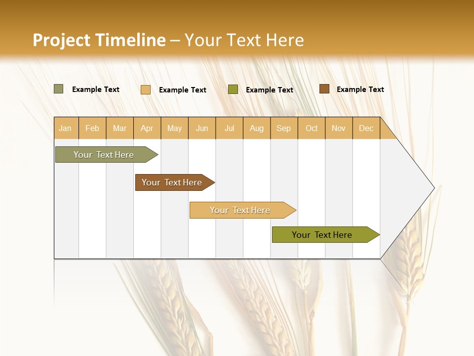 Food Stems White PowerPoint Template