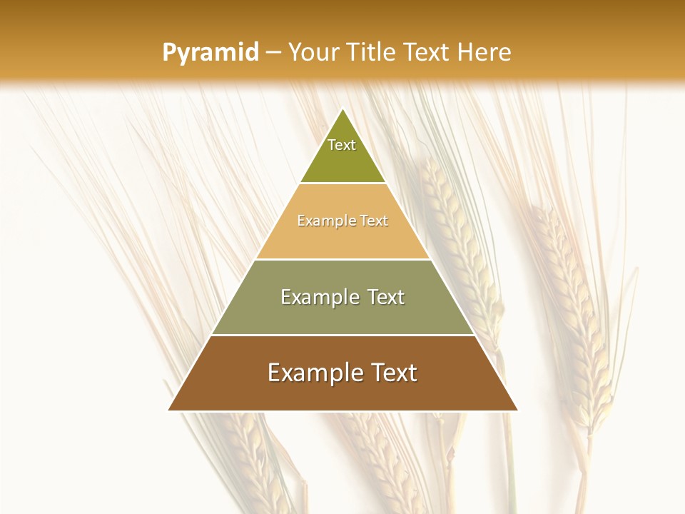 Food Stems White PowerPoint Template