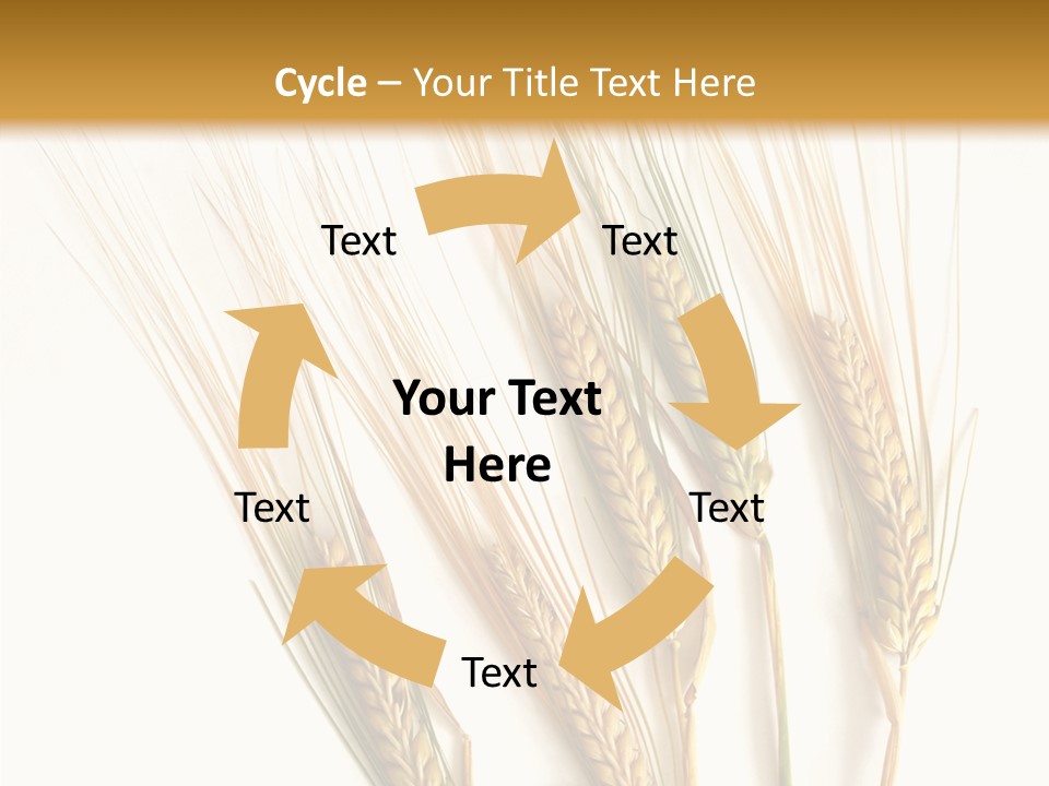 Food Stems White PowerPoint Template