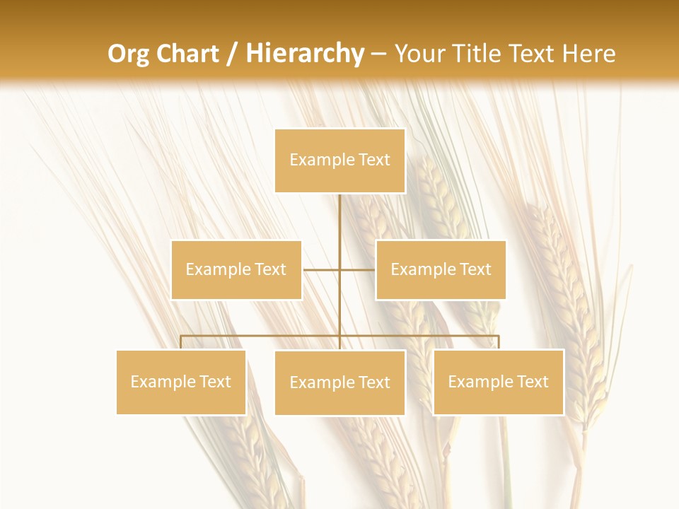 Food Stems White PowerPoint Template