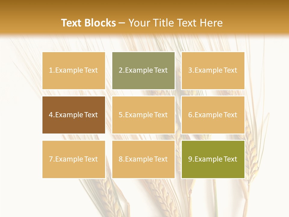 Food Stems White PowerPoint Template