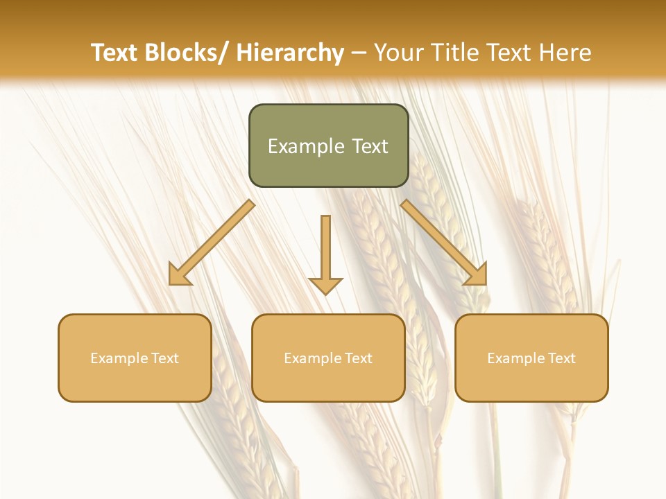 Food Stems White PowerPoint Template