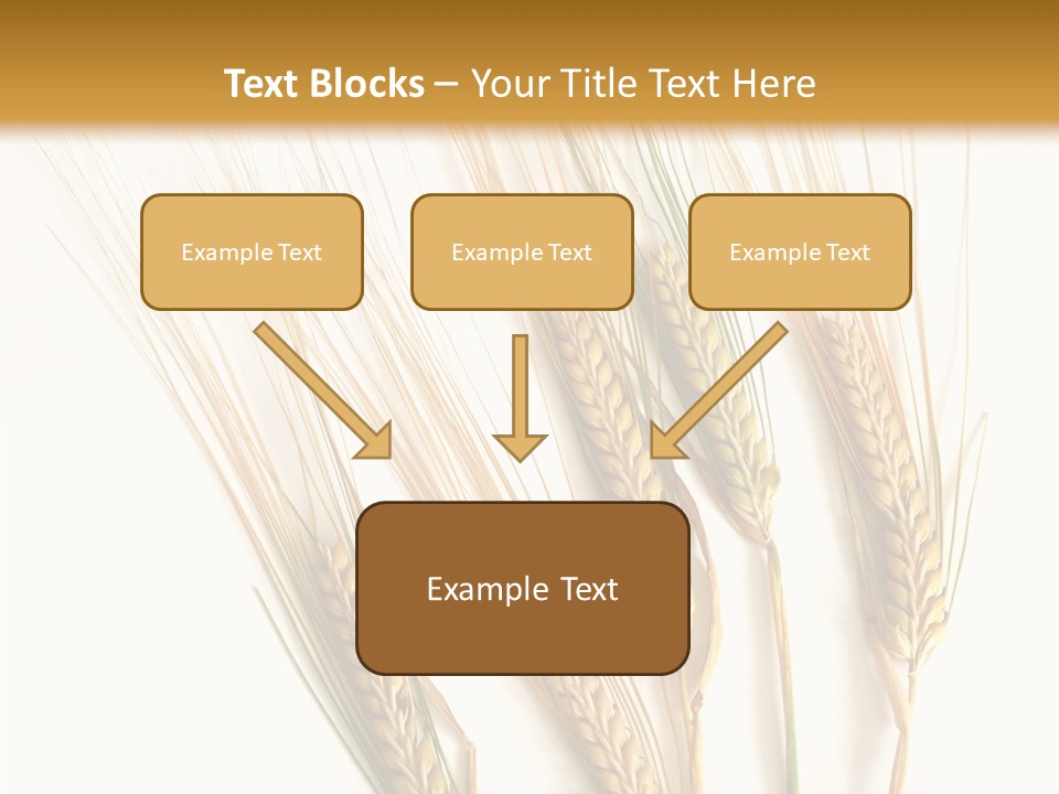 Food Stems White PowerPoint Template