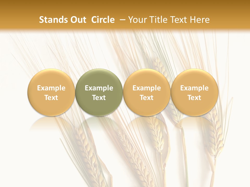 Food Stems White PowerPoint Template