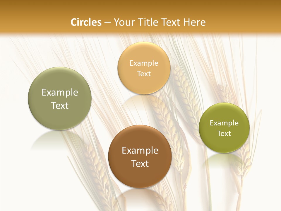 Food Stems White PowerPoint Template