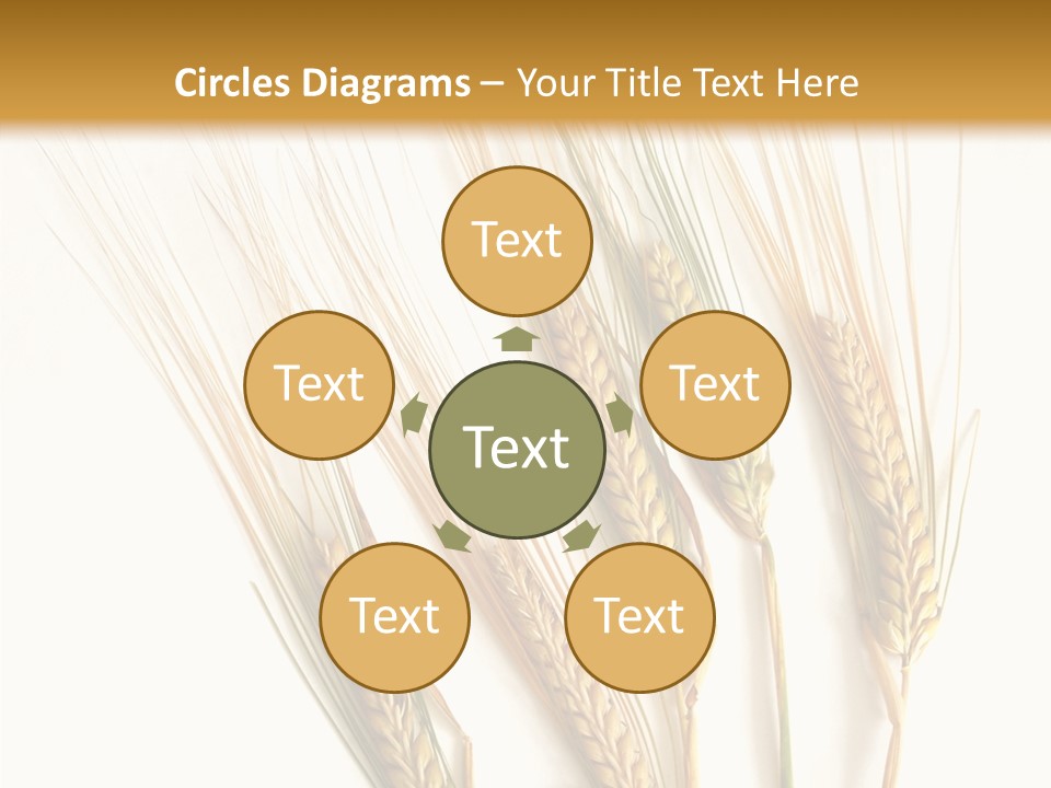 Food Stems White PowerPoint Template