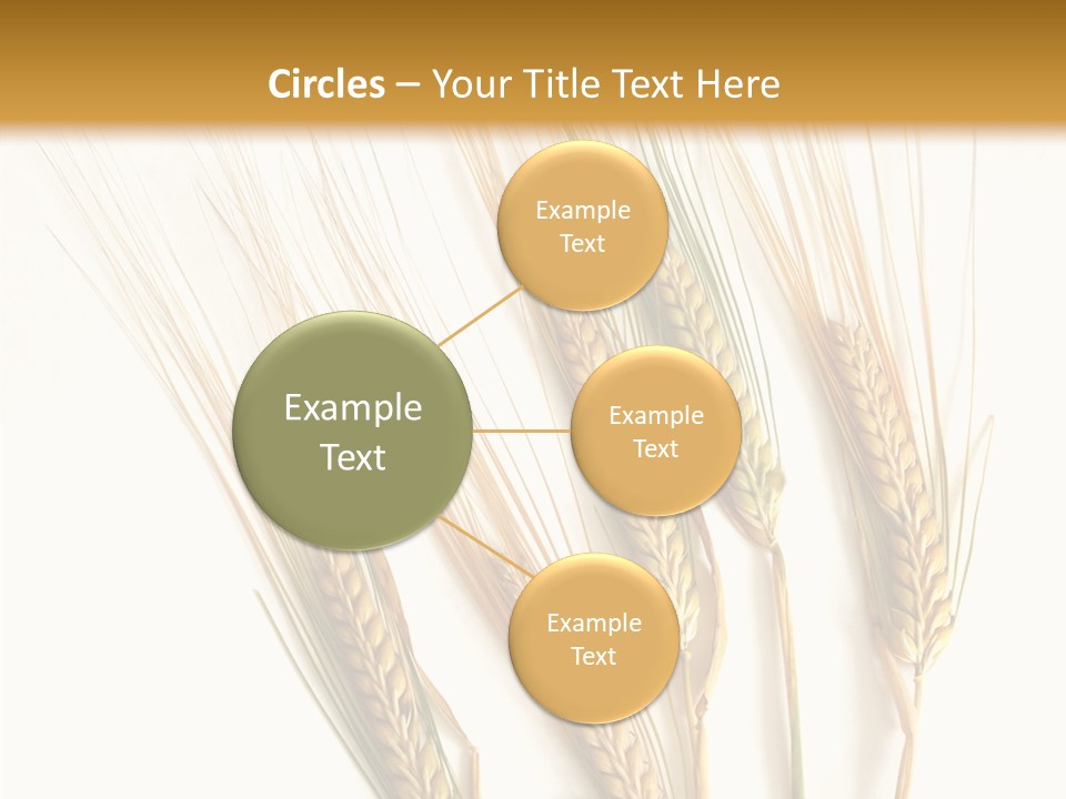 Food Stems White PowerPoint Template