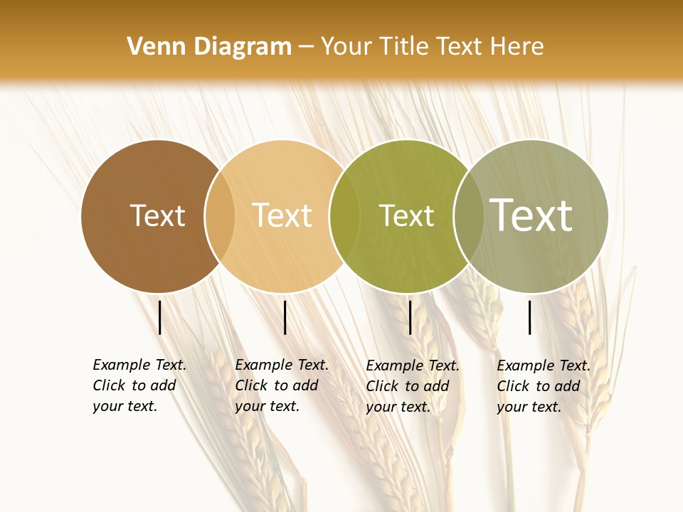 Food Stems White PowerPoint Template