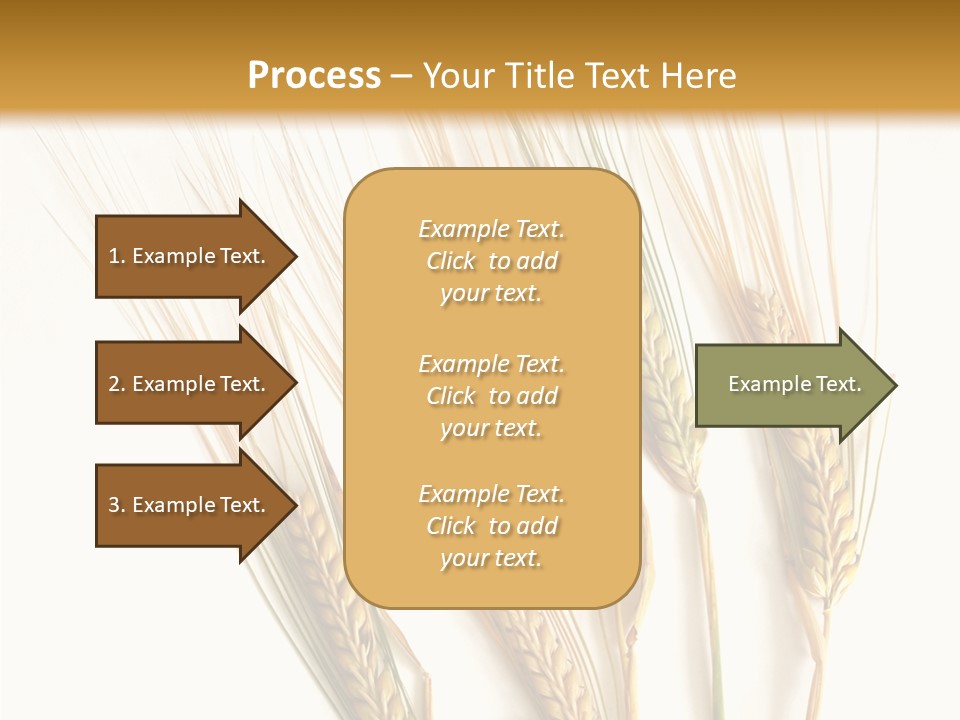 Food Stems White PowerPoint Template