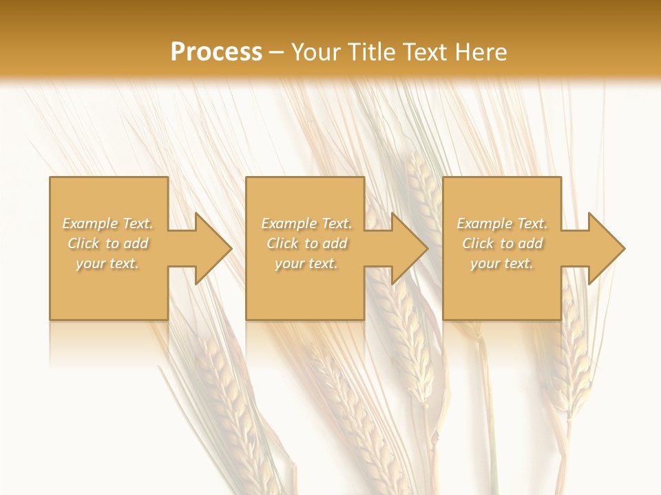 Food Stems White PowerPoint Template