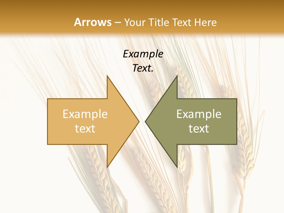 Food Stems White PowerPoint Template