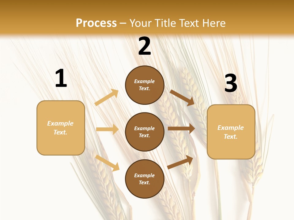 Food Stems White PowerPoint Template