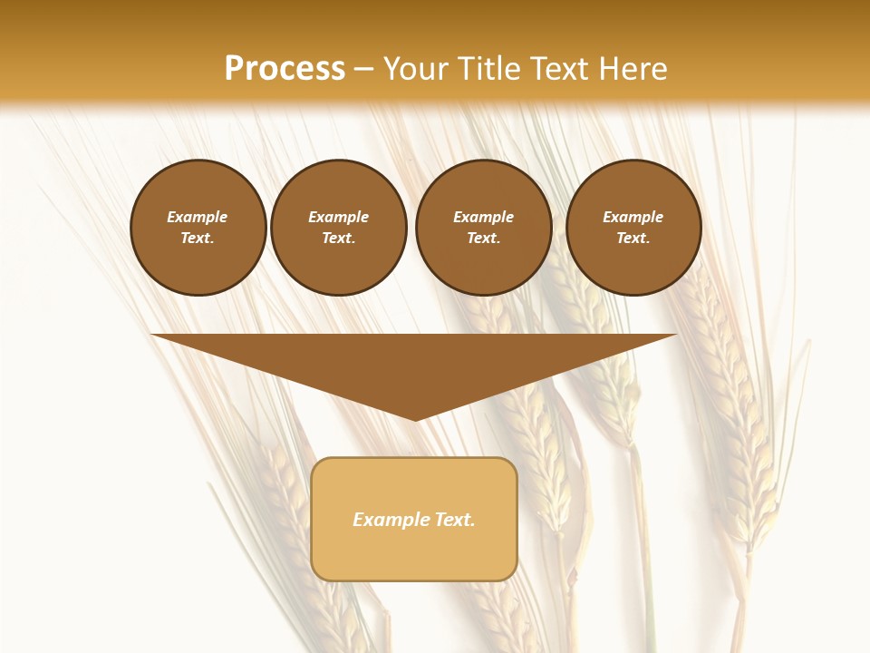 Food Stems White PowerPoint Template