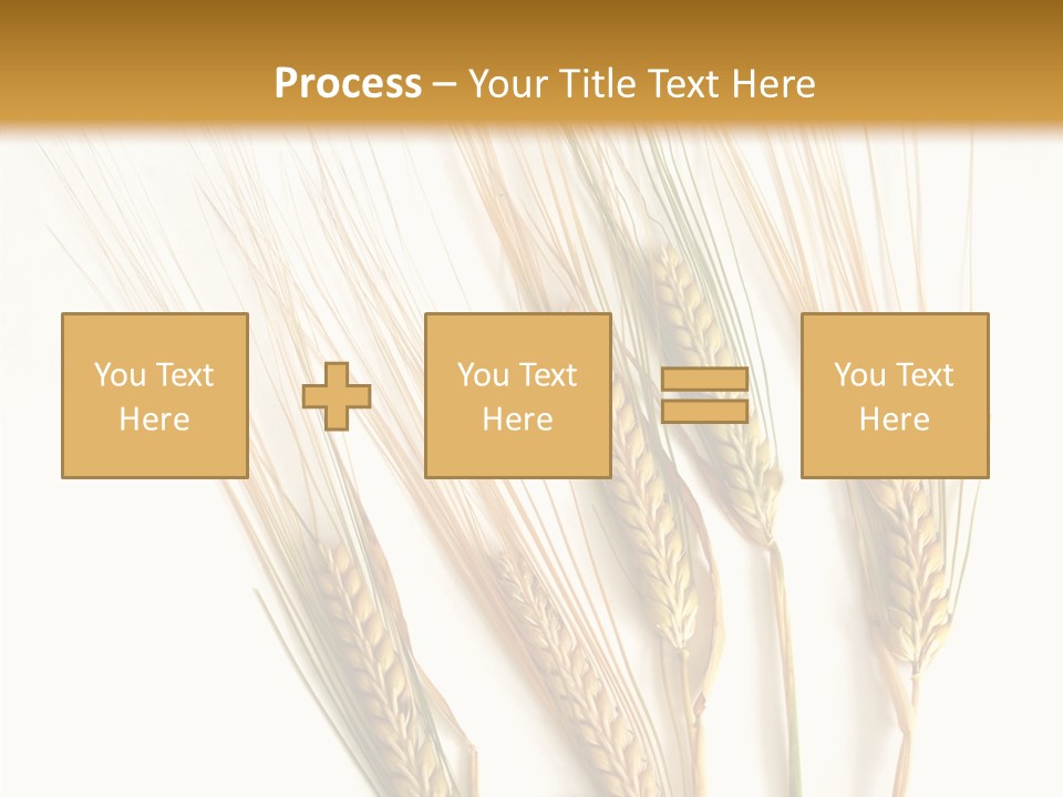 Food Stems White PowerPoint Template