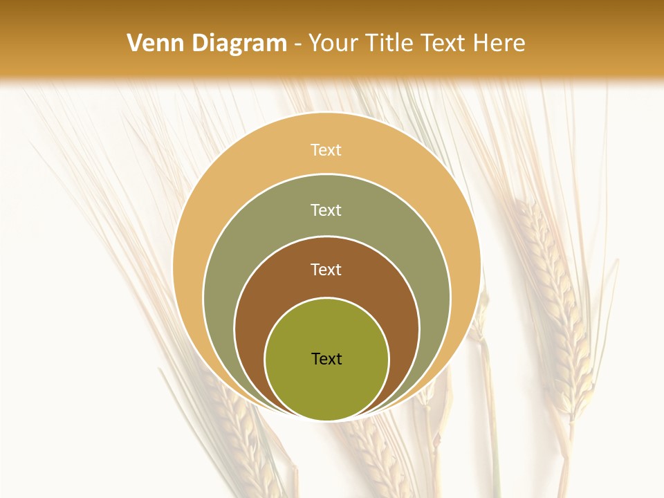 Food Stems White PowerPoint Template