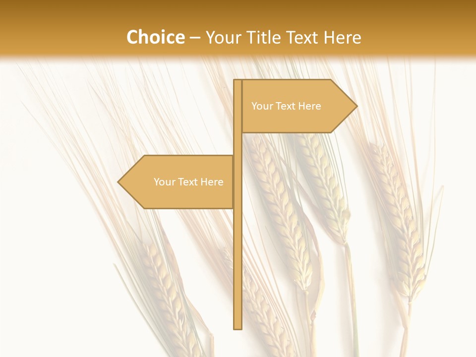 Food Stems White PowerPoint Template