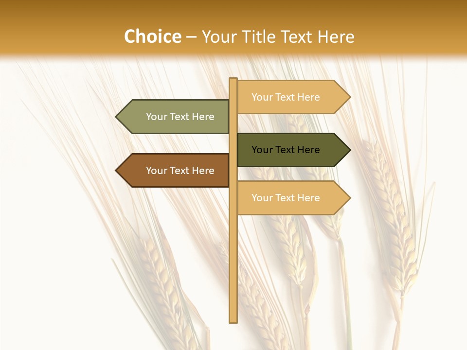 Food Stems White PowerPoint Template