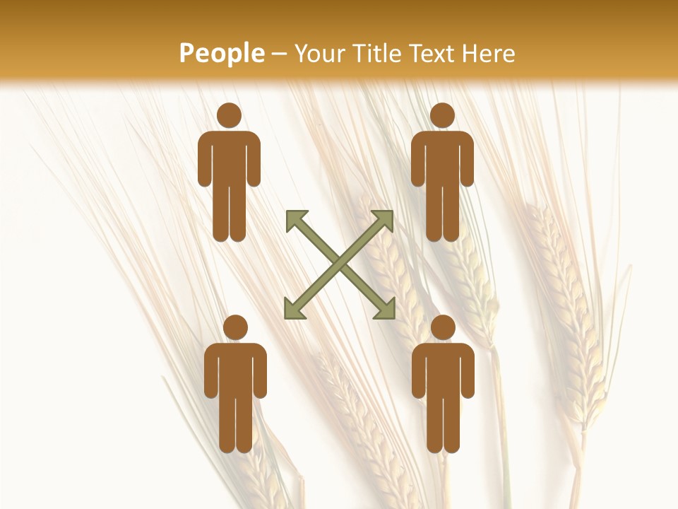 Food Stems White PowerPoint Template