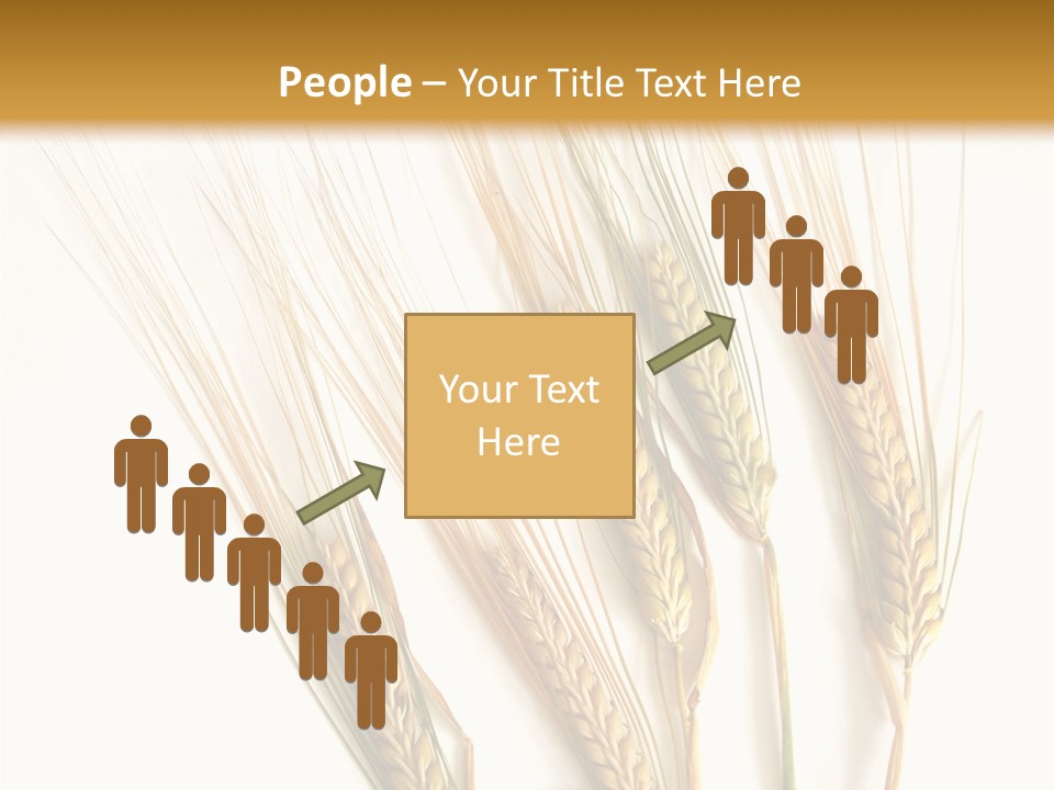 Food Stems White PowerPoint Template