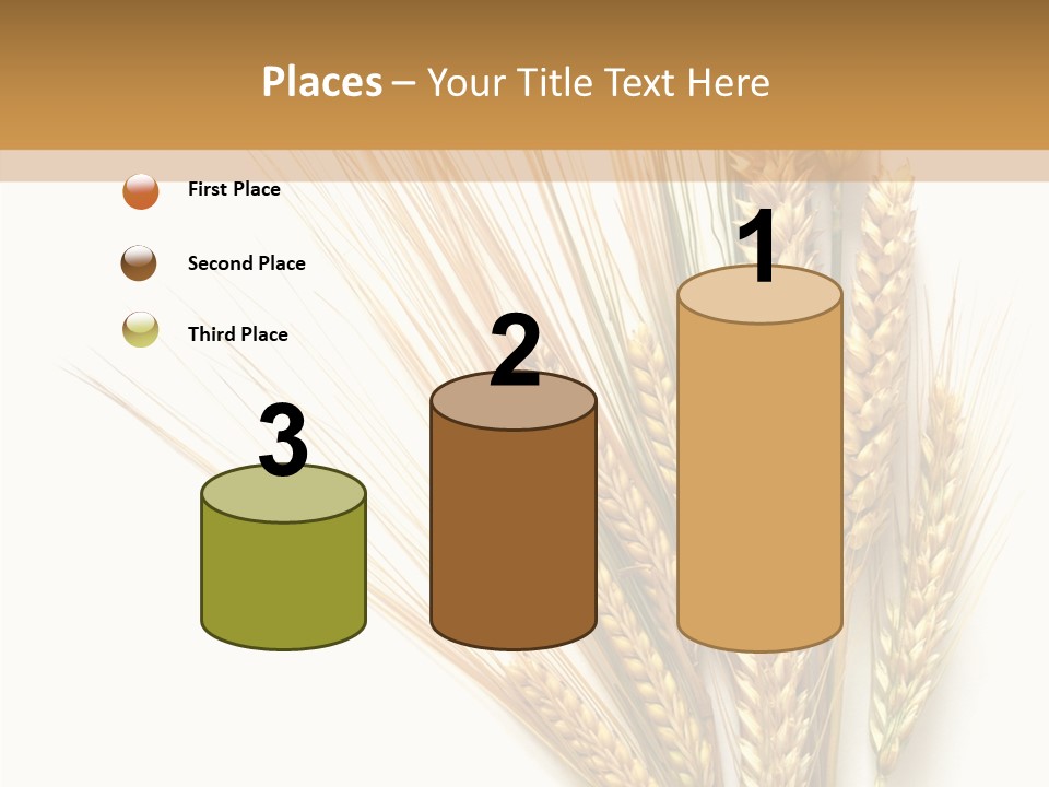 Closeup Dry Agricultural PowerPoint Template
