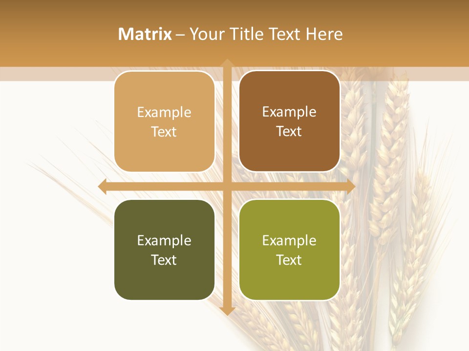 Closeup Dry Agricultural PowerPoint Template