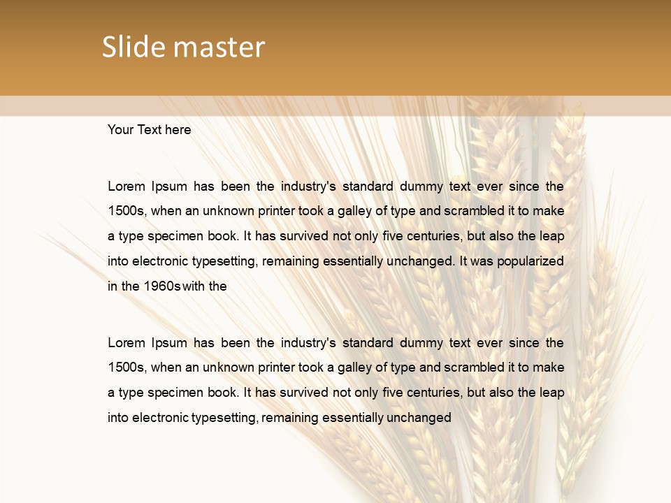 Closeup Dry Agricultural PowerPoint Template