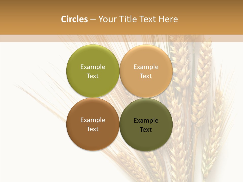 Closeup Dry Agricultural PowerPoint Template