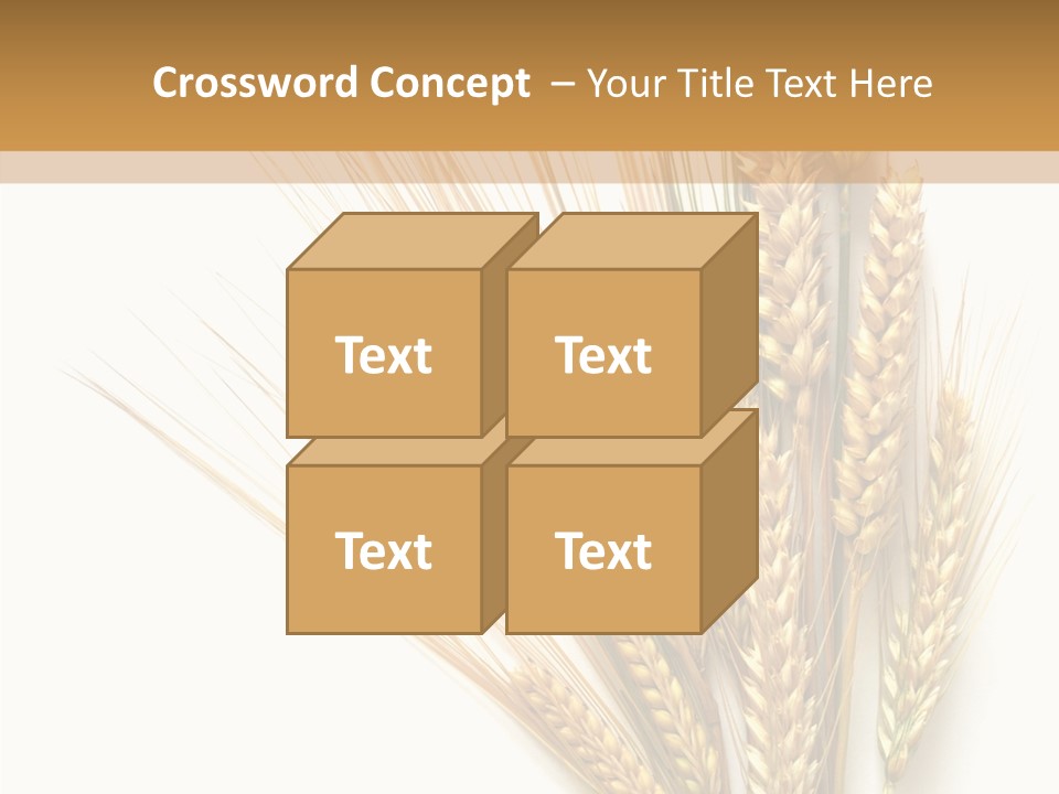 Closeup Dry Agricultural PowerPoint Template