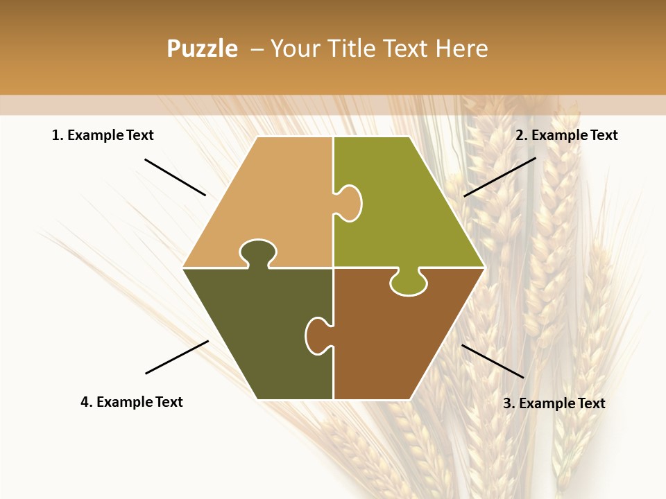 Closeup Dry Agricultural PowerPoint Template