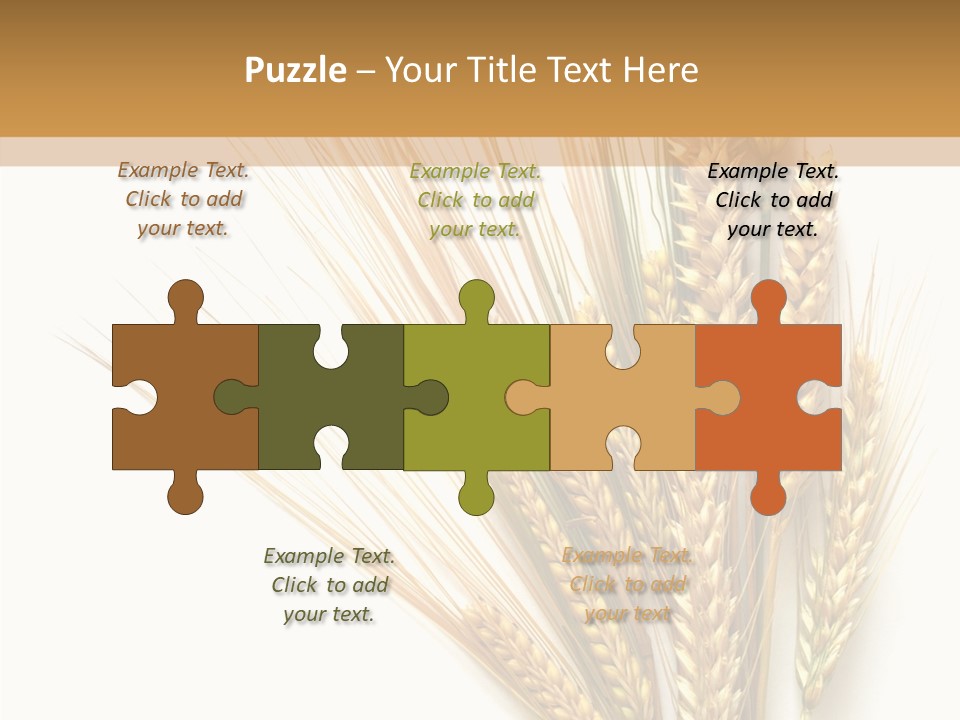 Closeup Dry Agricultural PowerPoint Template