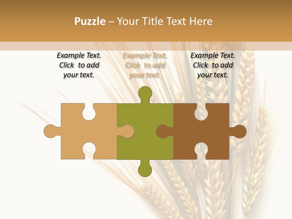 Closeup Dry Agricultural PowerPoint Template