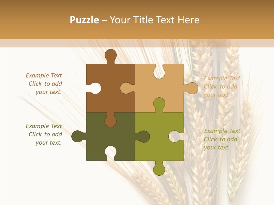 Closeup Dry Agricultural PowerPoint Template