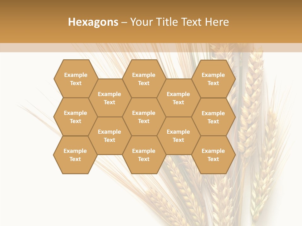 Closeup Dry Agricultural PowerPoint Template