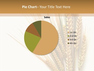 Closeup Dry Agricultural PowerPoint Template