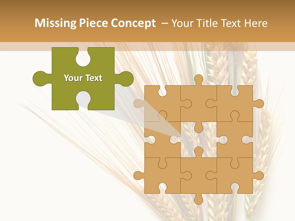 Closeup Dry Agricultural PowerPoint Template